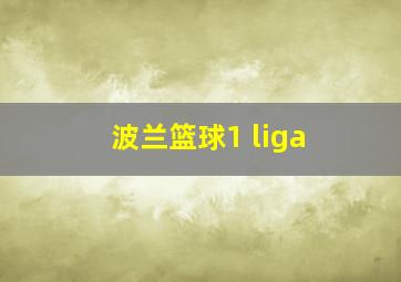 波兰篮球1 liga